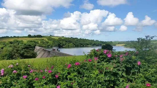 Llys y Fran Lake