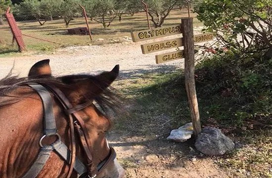 Olympus Horse Riding Club