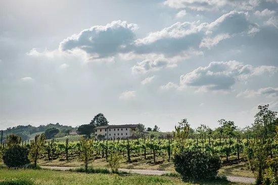 Terre Boscaratto