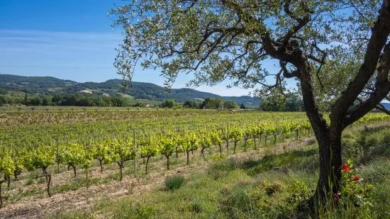 Chateau de Verone