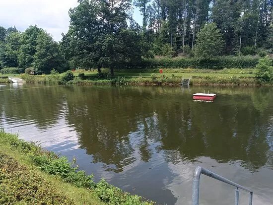 Seelbacher Weiher