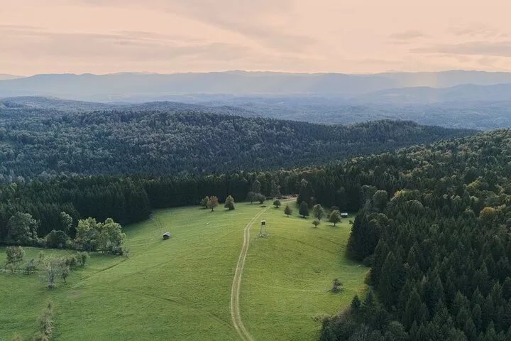 Kocevski kRog