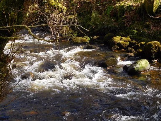 Ynys Dawela Nature park