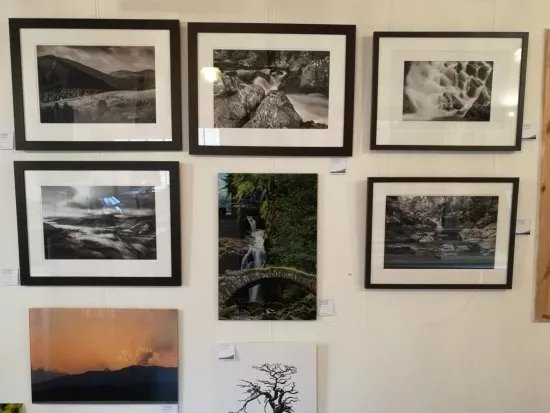The Shed Gallery