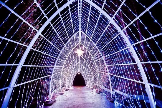 Christmas Garden Hannover