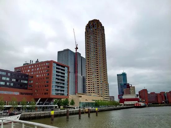 Rijnhavenbrug