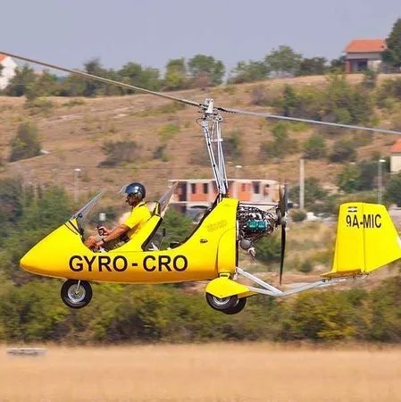 GYRO-CRO