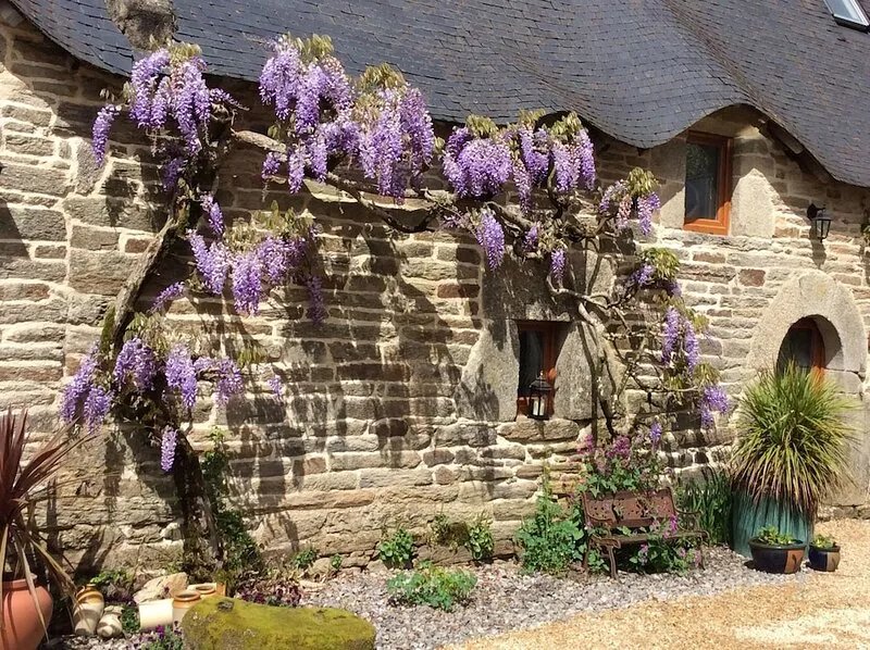 Wisteria Cottage - Vine, Bamboo and Wisteria Cottages