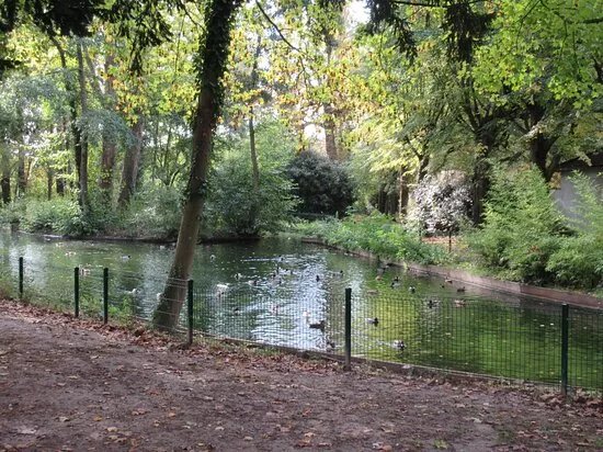 Parc Buffon