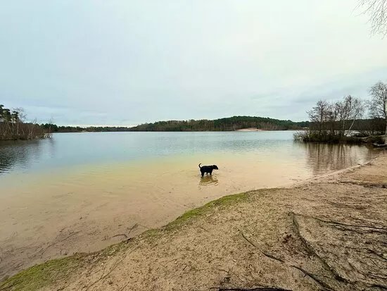 Bawsey Country Park
