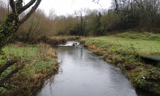 Tolka Valley Park
