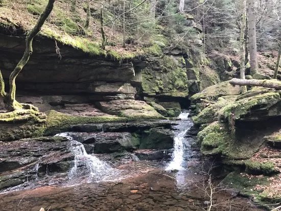 Monbachtal