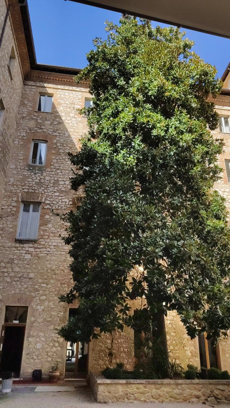 Biblioteca Comunale "L. Ceci"