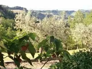 Agriturismo Fonte di S.Andrea
