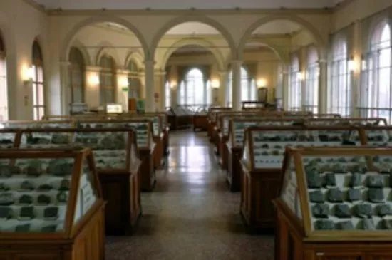 Collezione di Mineralogia "Museo Luigi Bombicci"