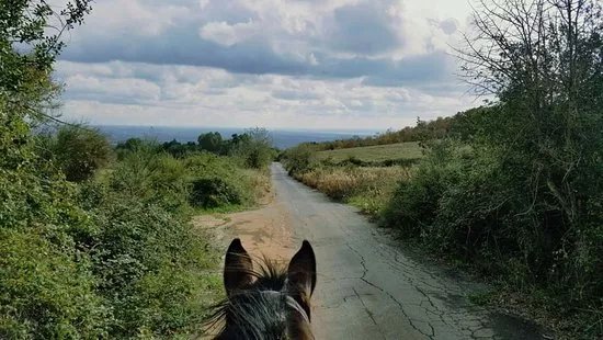 ASD Ranch Country Life