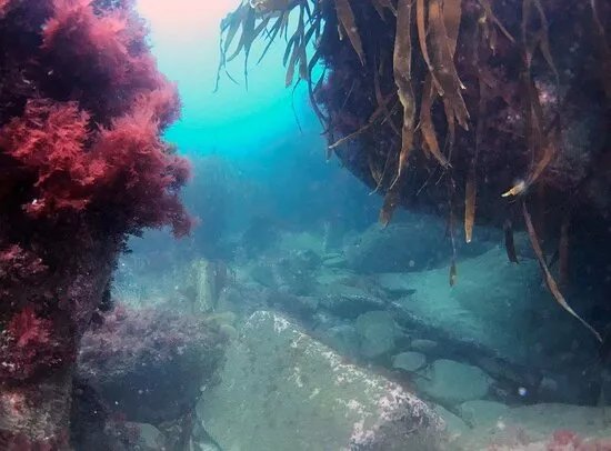Aquanorth Diving Centre