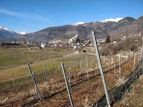 Azienda Agricola Le Grain
