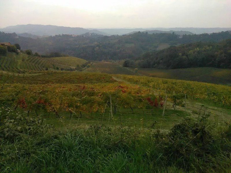 Piedmont Guide di Giorgio Nigra