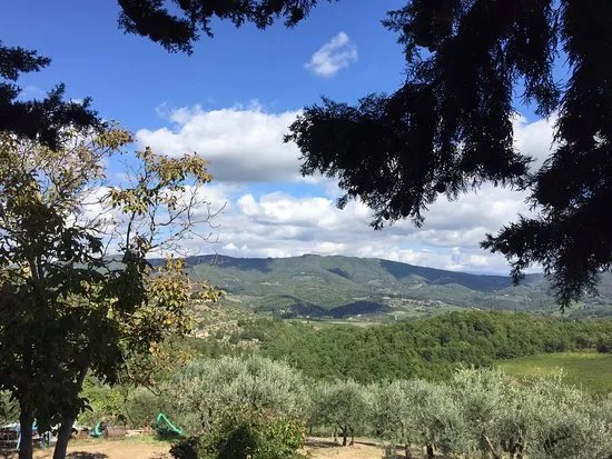 Podere Somigli Azienda Agricola