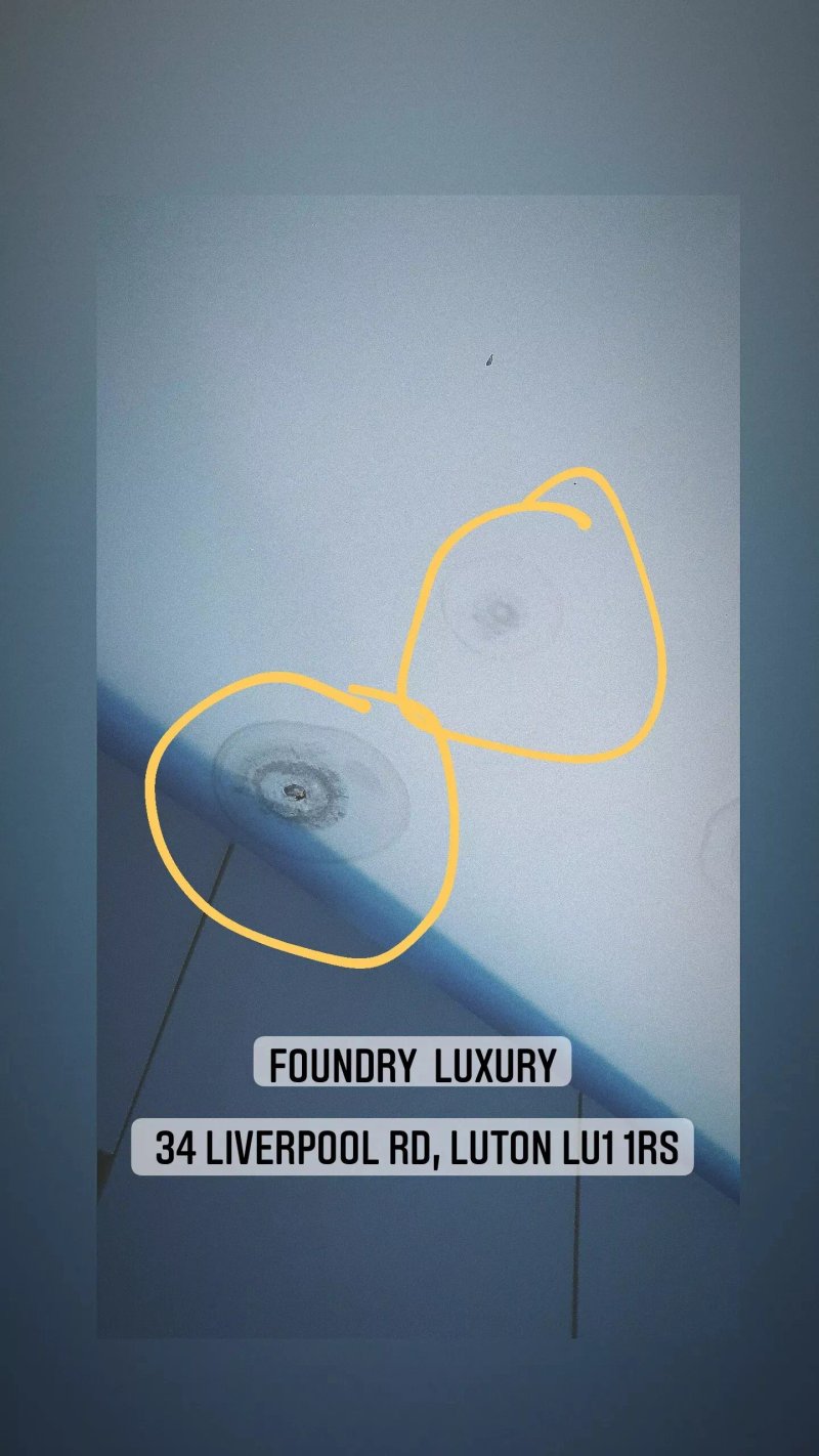 Foundry Luxury New One Bedroom Apartments