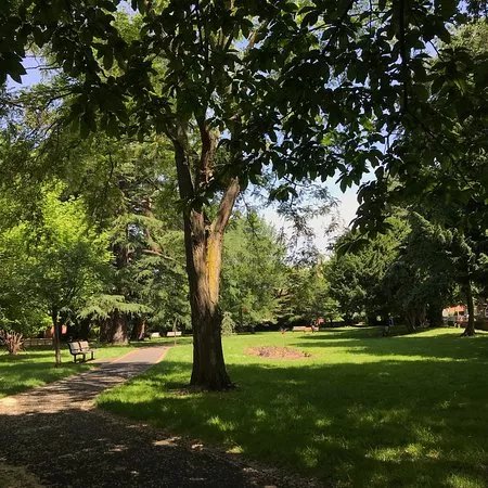 Firs Gardens