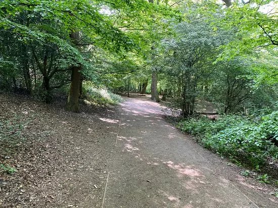 Queen's Wood