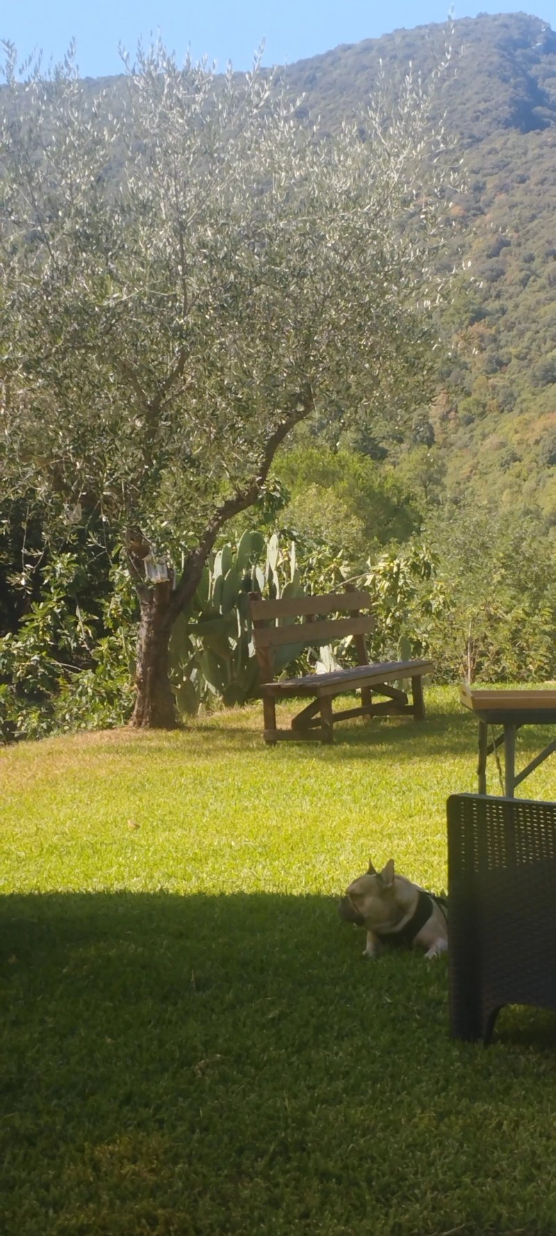 La Dimora del Croccio - Gole del Calore