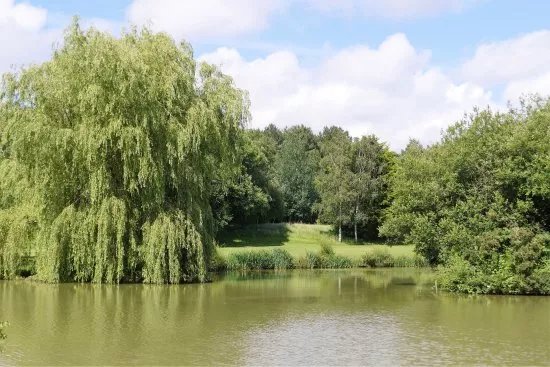 Furzeley Golf Club