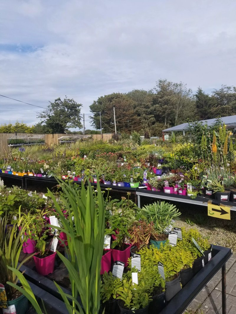 Keanes Garden Centre Coffeeshop