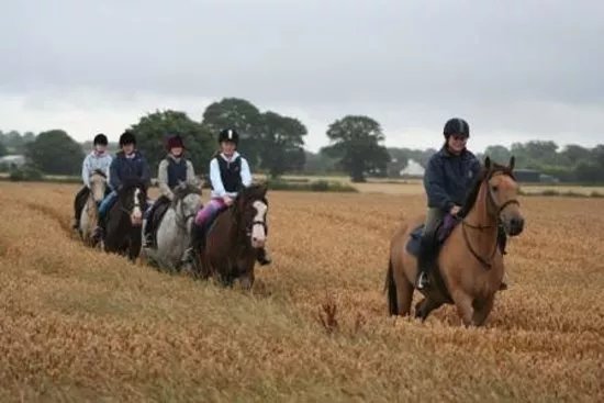 Annaharvey Farm Equestrian Centre