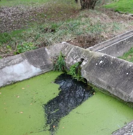 Lavoir De Vessey