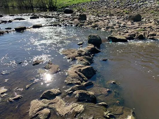 Fischaufstiegsanlage Tungeln
