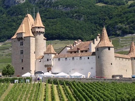 Aigle Castle