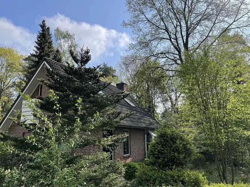 Detached luxury home with lots of privacy