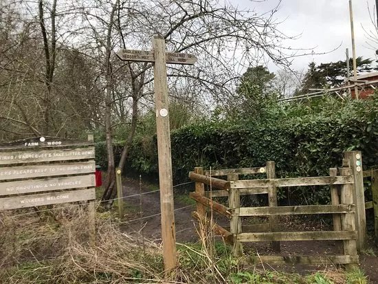 Farm Wood