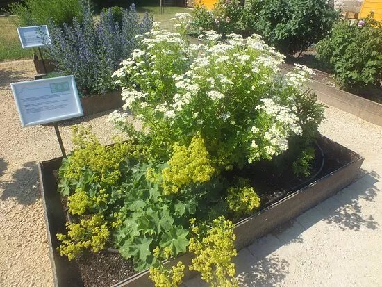 Franziskaner Klostergarten Breisach