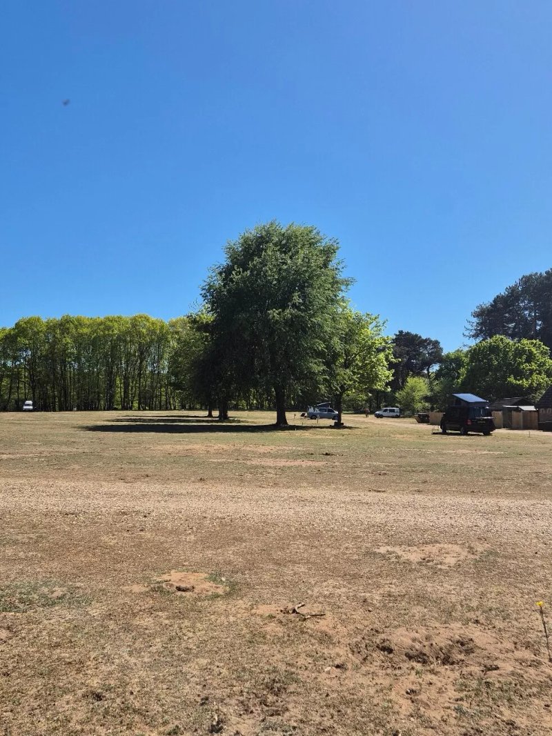 Rendlesham Forest Campsite