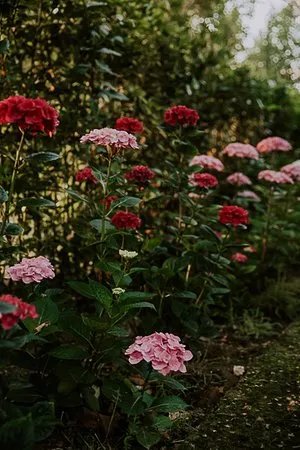 Giardini Del Volturno