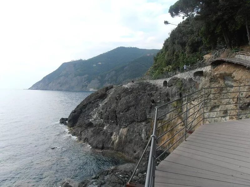 a wide apartment in front of the sea and surrounded by woods
