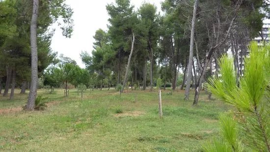 Riserva Naturale Pineta di Santa Filomena