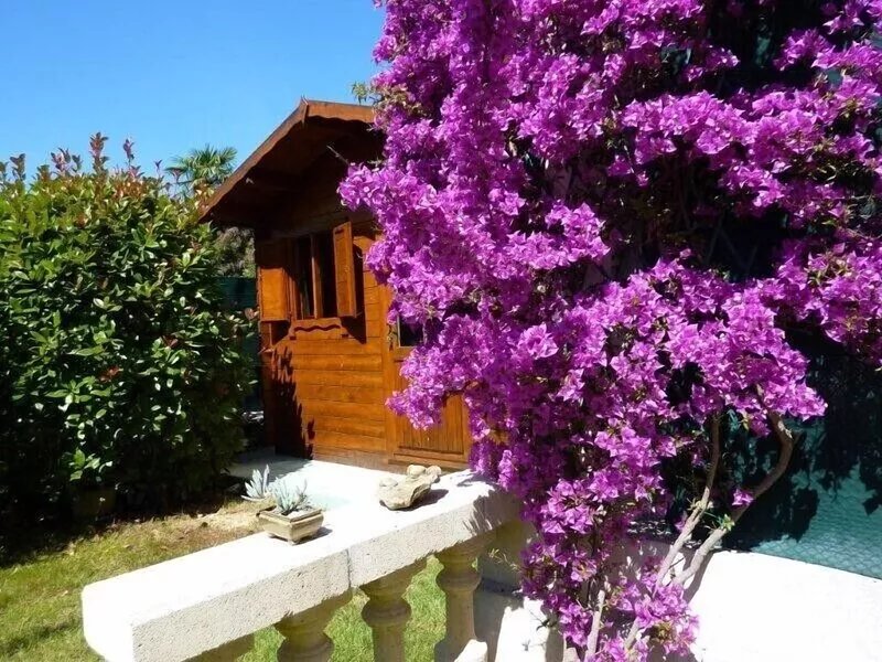 Rare juan-les-pins 2 ground garden rooms downtown, private Jacuzzi