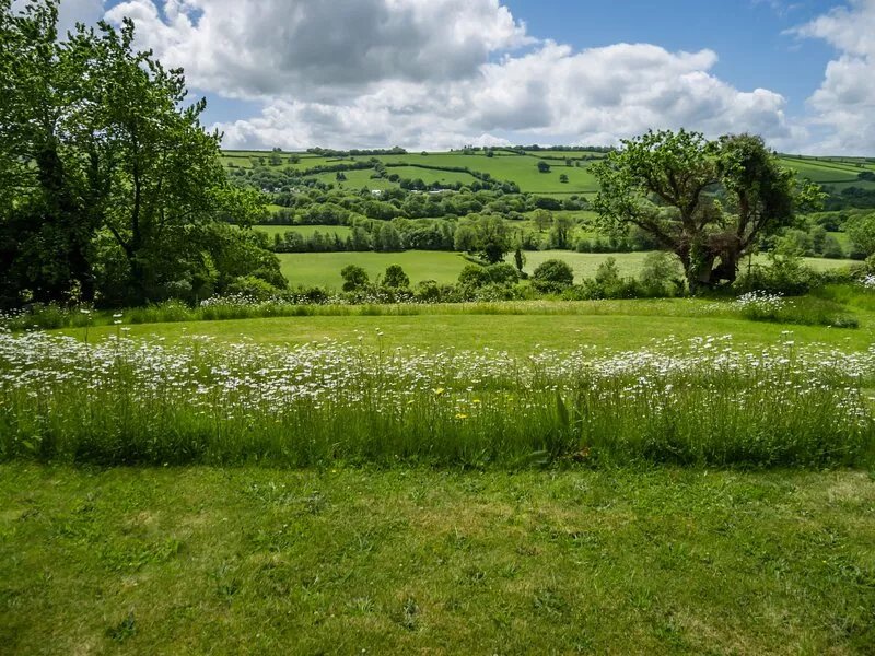 The School House, Coryton - a peaceful retreat  (sleeps 6+toddler)