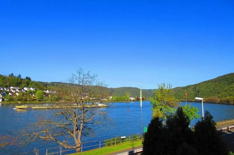 Beautiful apartment with balcony and view of the Rhine: Rhine, climbing, hiking