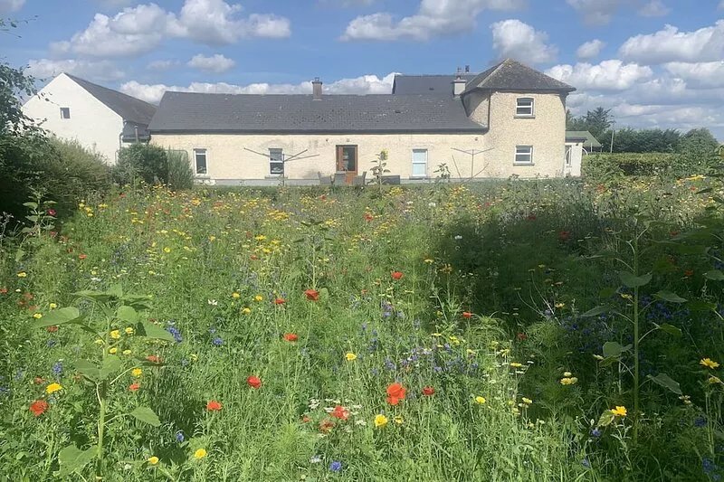 Wildflower Farm Cottage