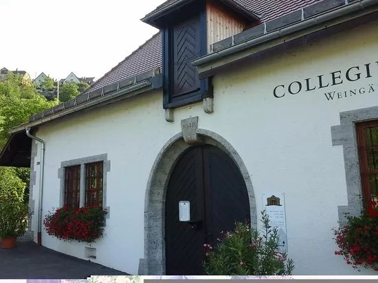 Collegium Wirtemberg