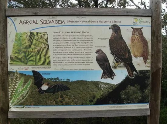 Parque Natureza do Agroal