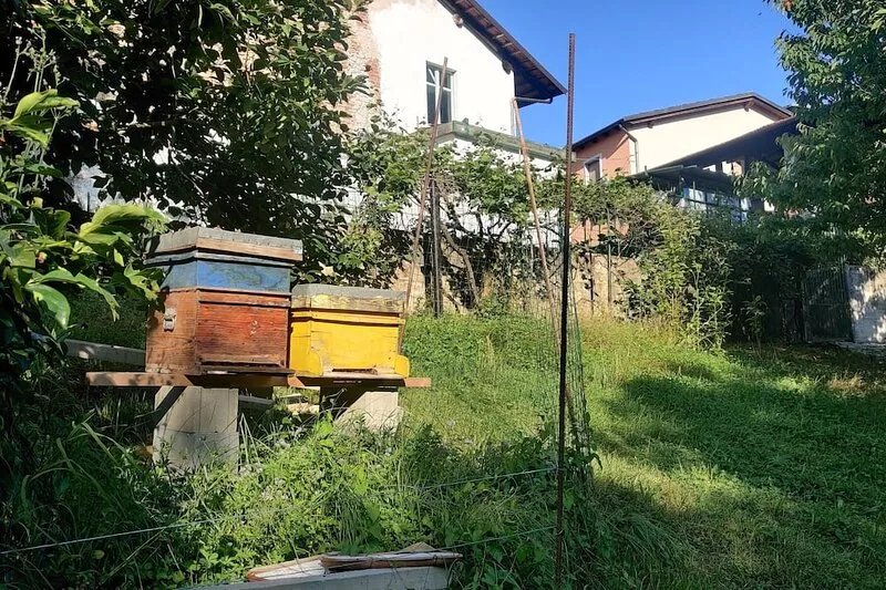 Casa nel Bosco con Sauna
