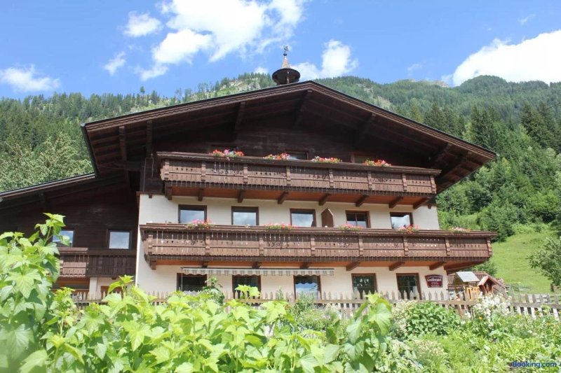 Grussberggut Bauernhof