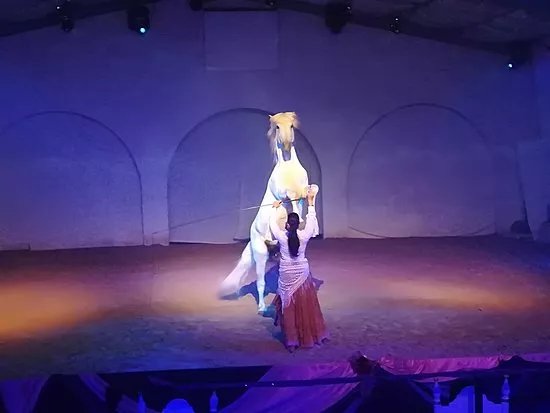 Cabaret Equestre des Sables